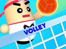 Volley Beans 3D